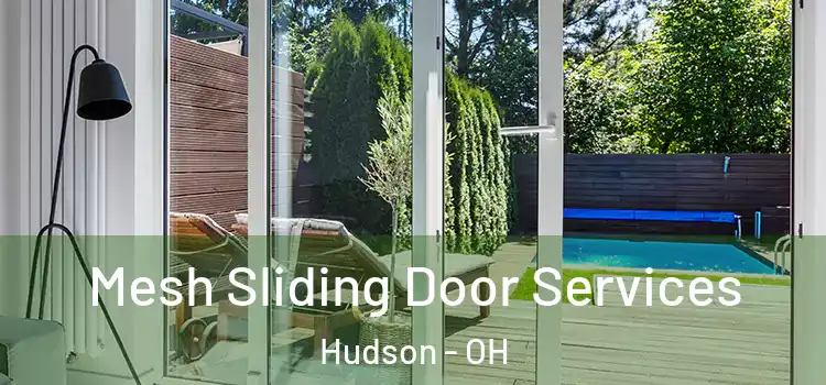 Mesh Sliding Door Services Hudson - OH