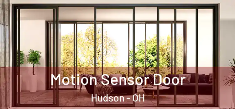 Motion Sensor Door Hudson - OH